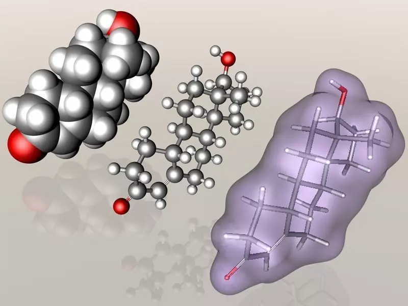 Nandrolone molecule 3D model_0
