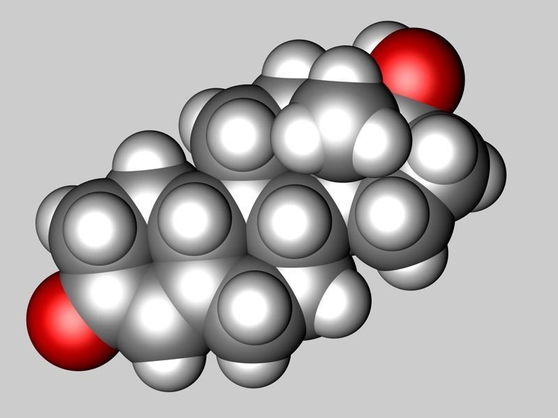 Nandrolone molecule 3D model_4