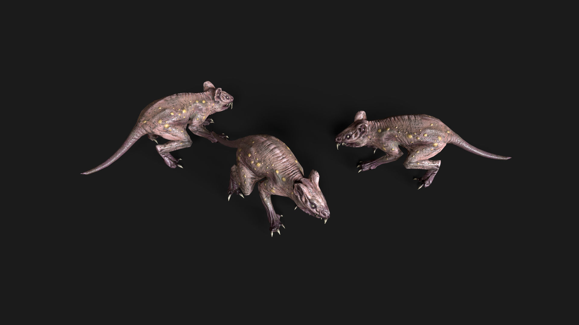 Corrupted Rat 01  Low-poly 3D model_4