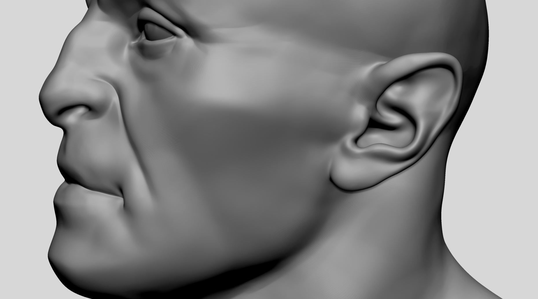 Male Head v7 3D model_8