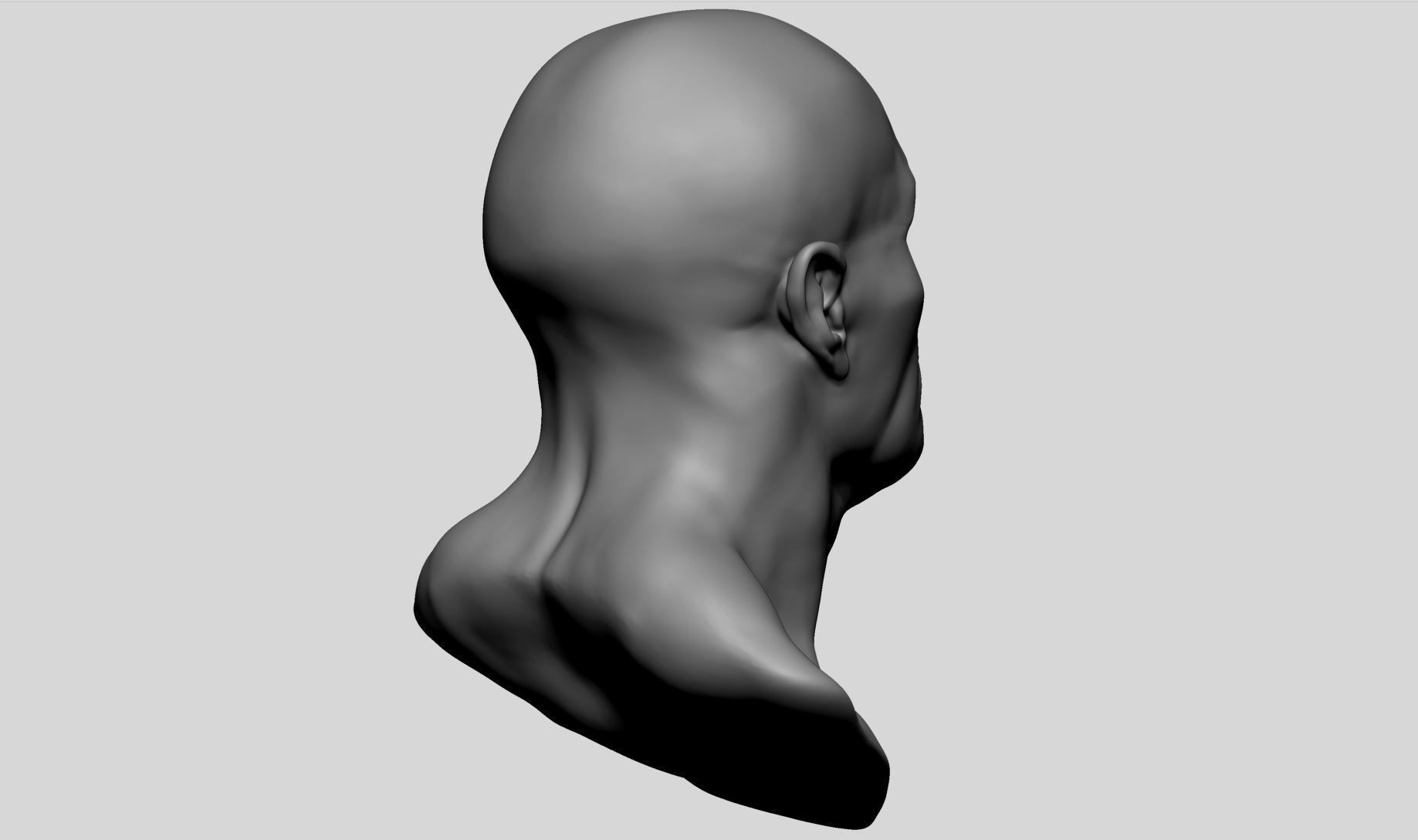 Male Head v7 3D model_4