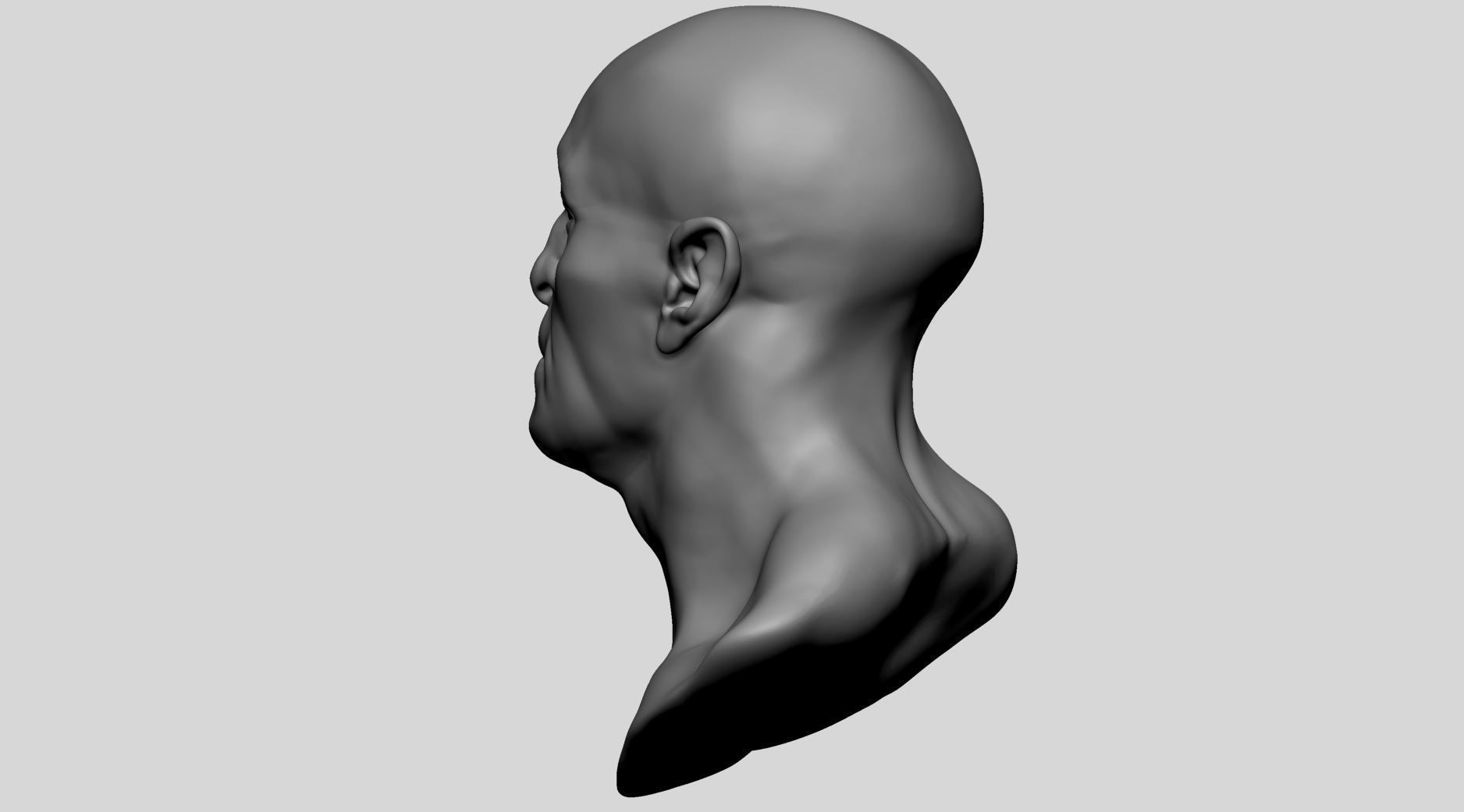 Male Head v7 3D model_6