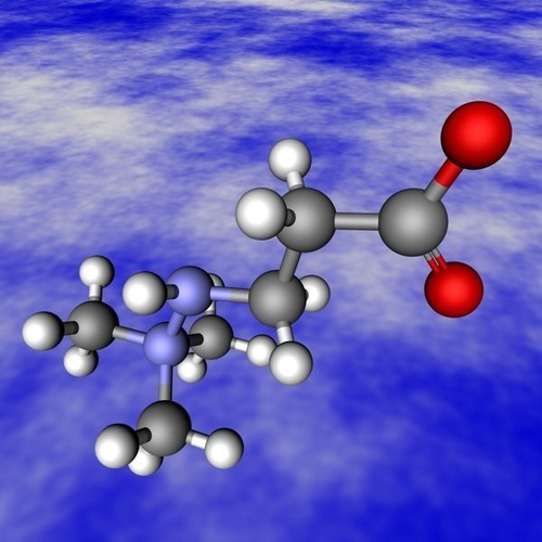 meldonium 86426-17-7