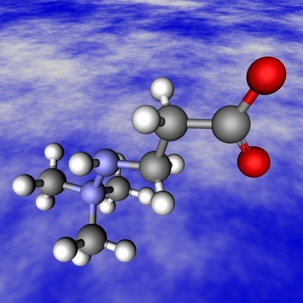 meldonium 86426-17-7 3D model_0