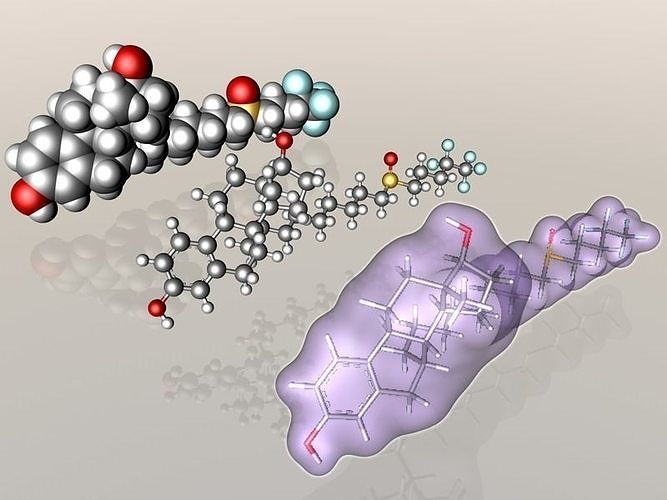 Fulvestrant molecule 3D model