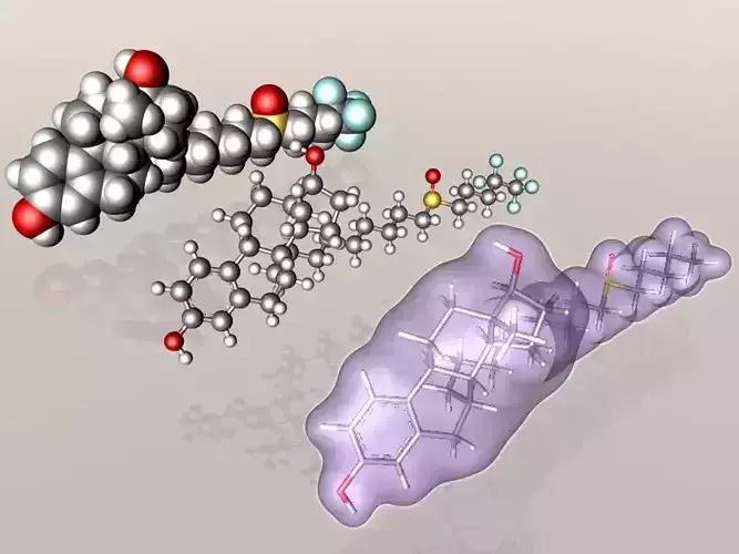Fulvestrant molecule 3D model