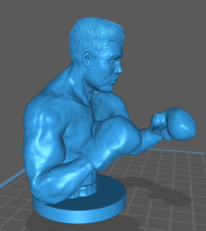 Muhammad Ali 3D print model_4