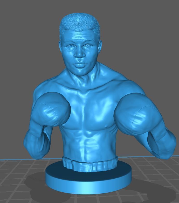 Muhammad Ali 3D print model_2