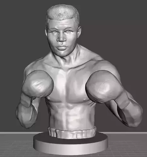 Muhammad Ali 3D print model