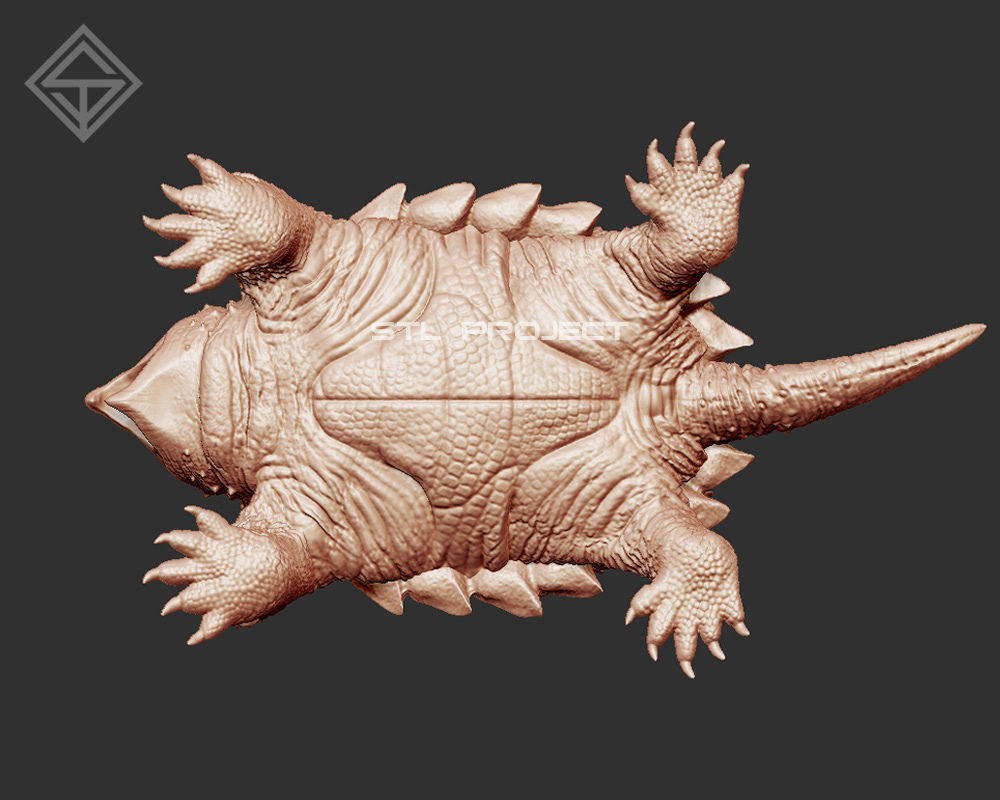 Alligator Snapping 3D print model_5
