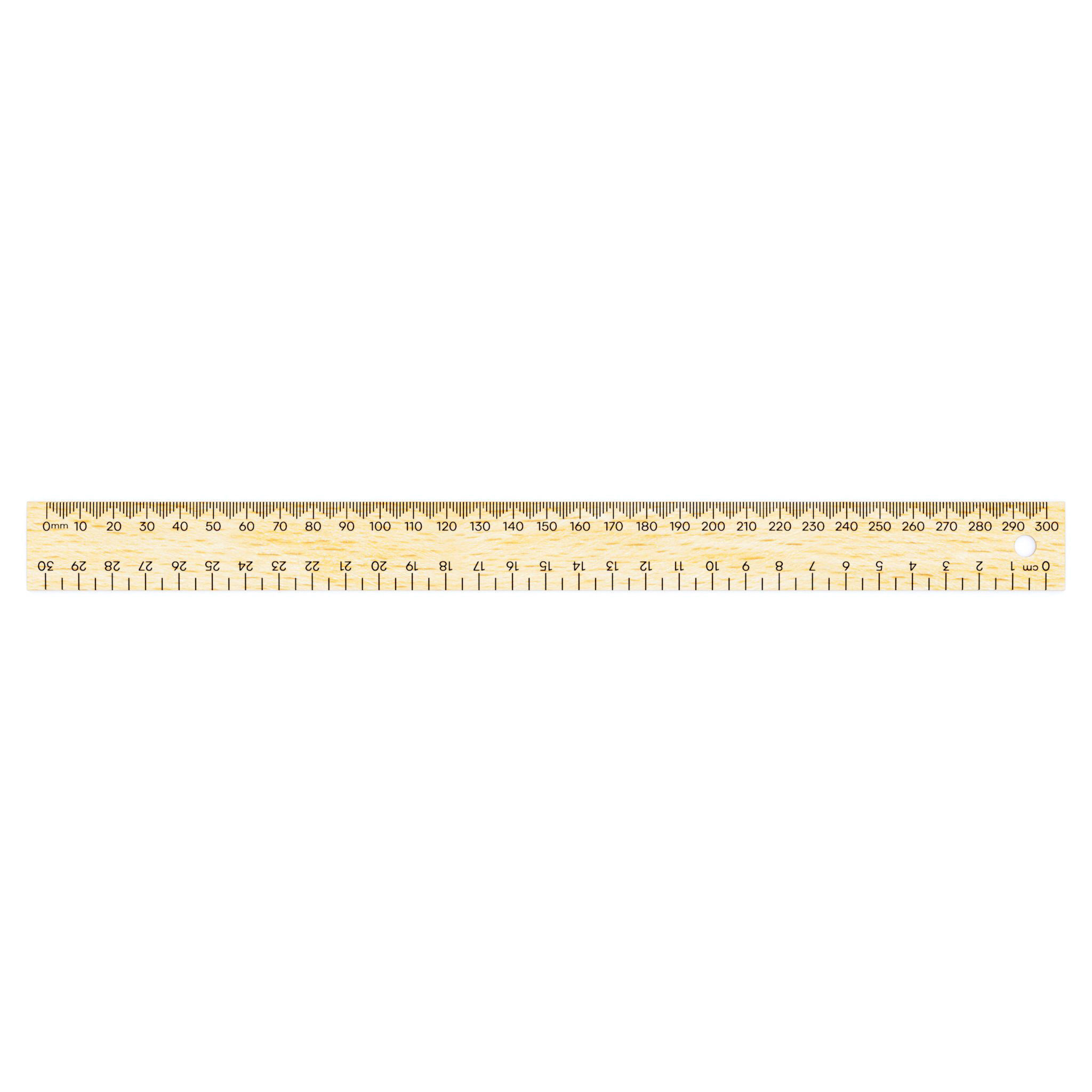 30cm Ruler 3D model_2
