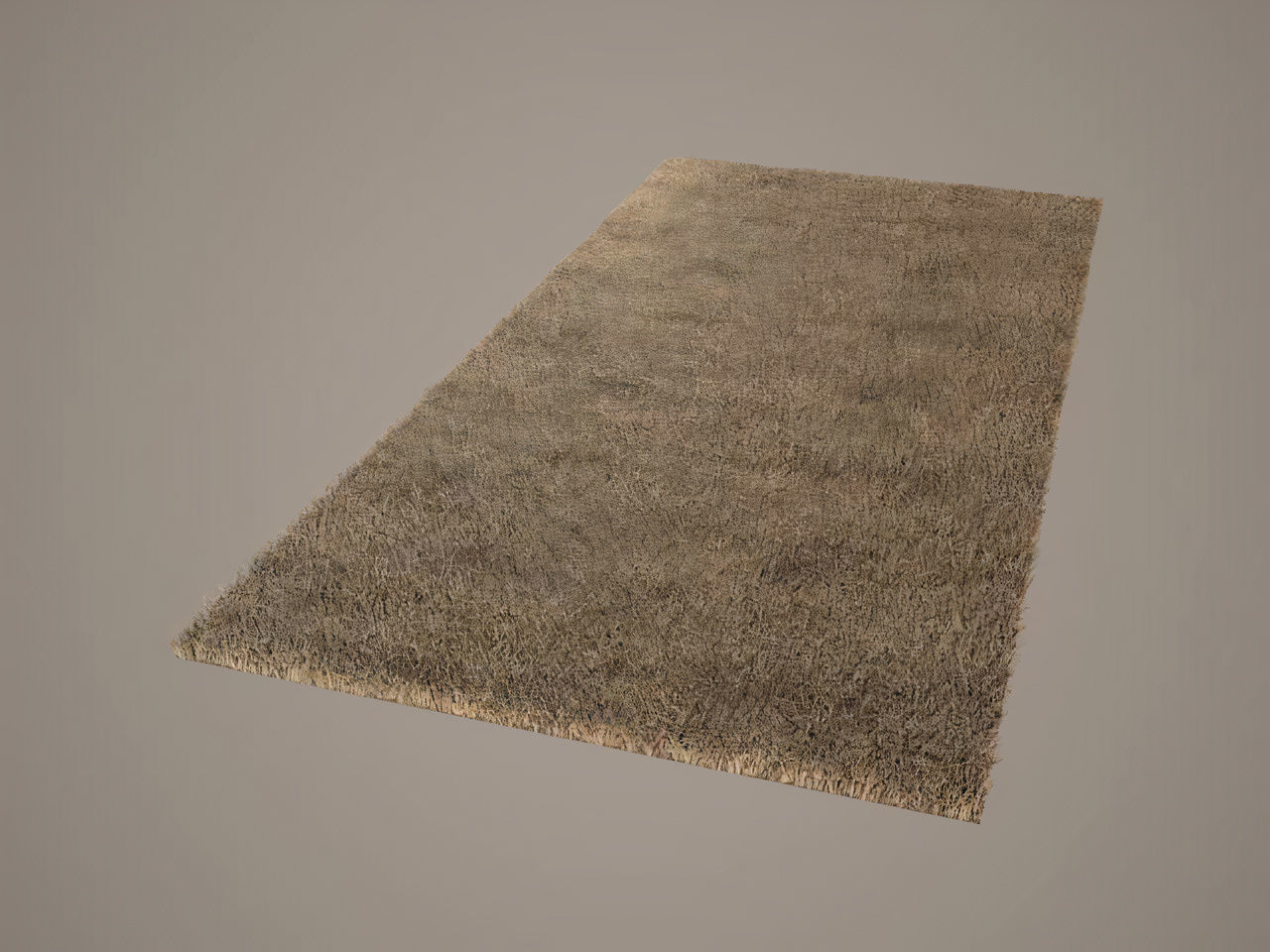 Rug modeling 3D model_2