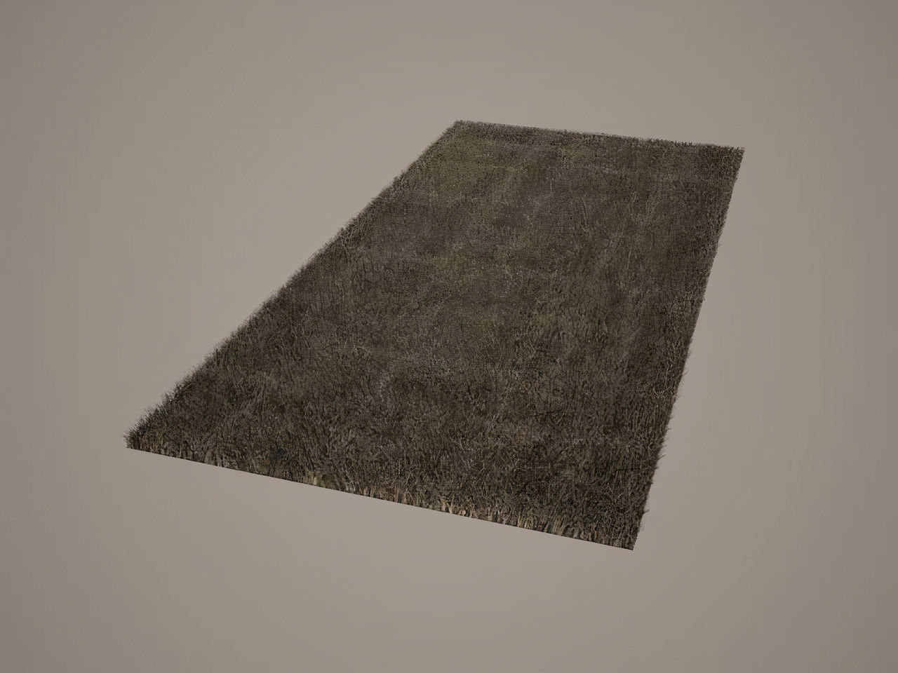 Rug modeling 3D model_1