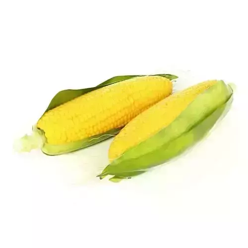 Yellow Corn In The Husk