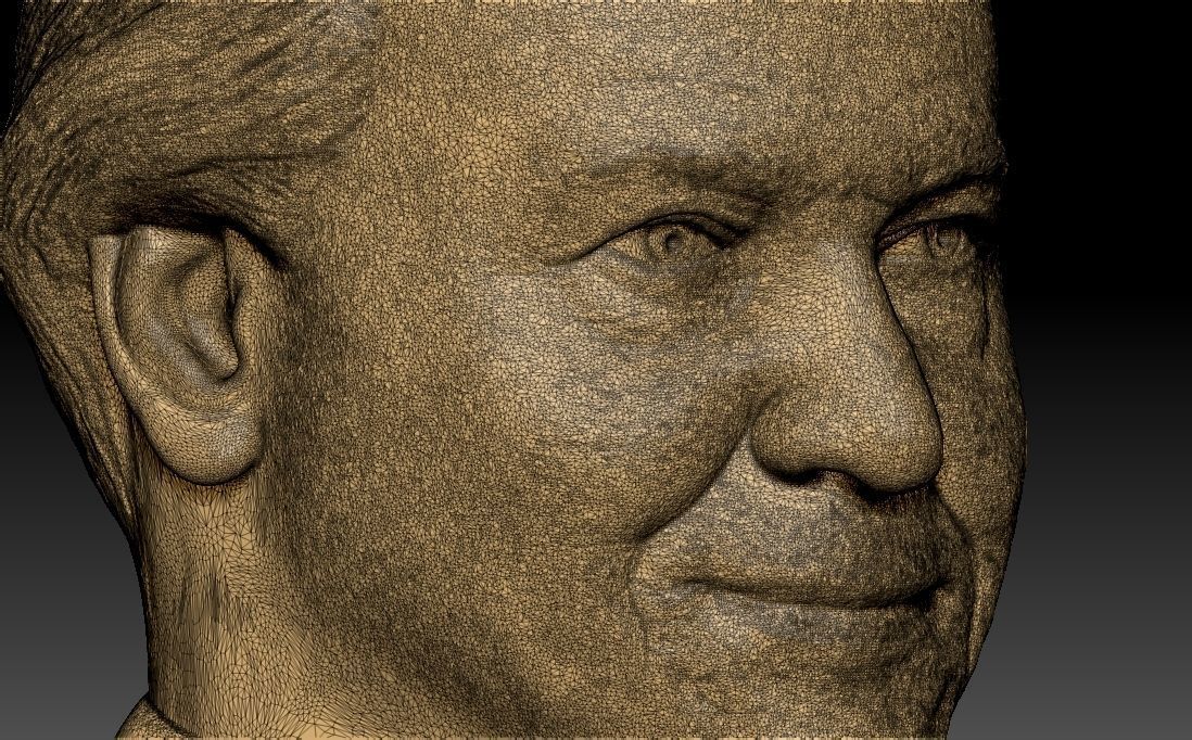 Sir David Attenborough bust for 3D printing 3D print model_34