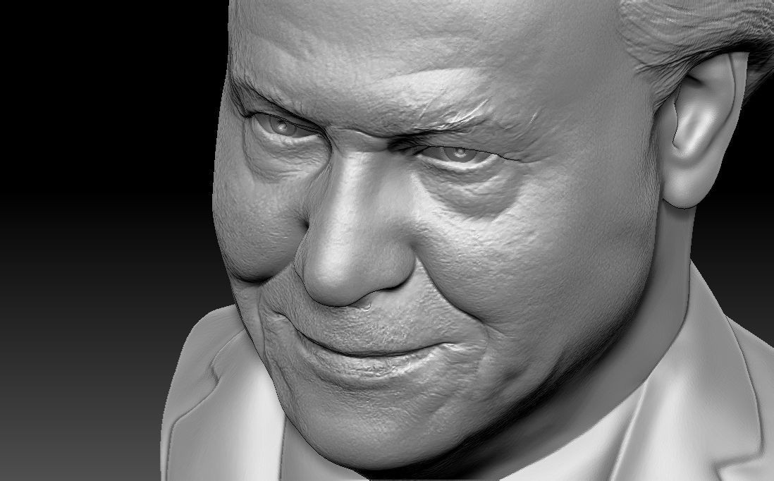Sir David Attenborough bust for 3D printing 3D print model_25