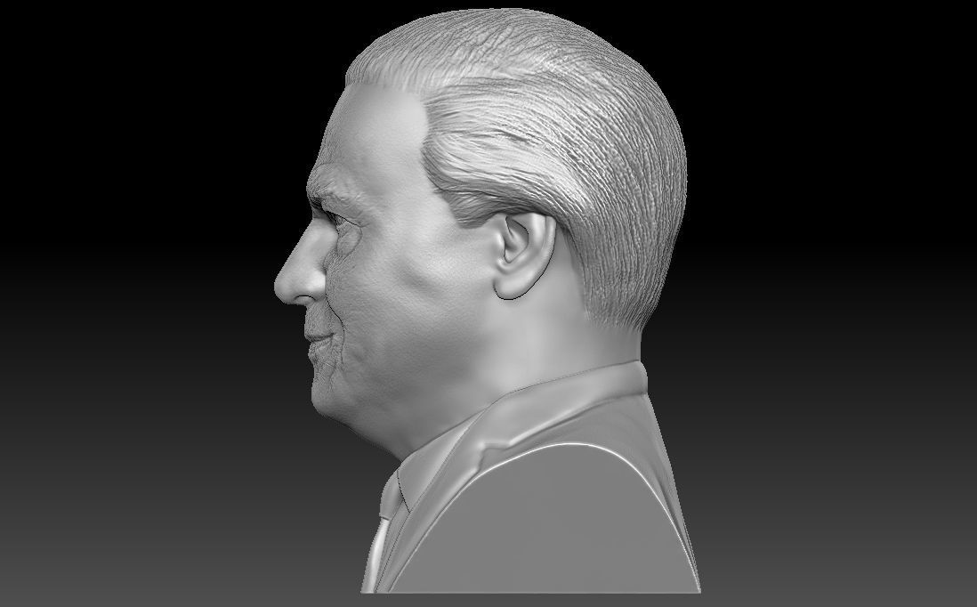 Sir David Attenborough bust for 3D printing 3D print model_10