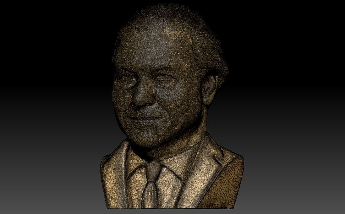Sir David Attenborough bust for 3D printing 3D print model_32