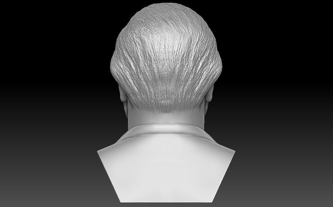 Sir David Attenborough bust for 3D printing 3D print model_12