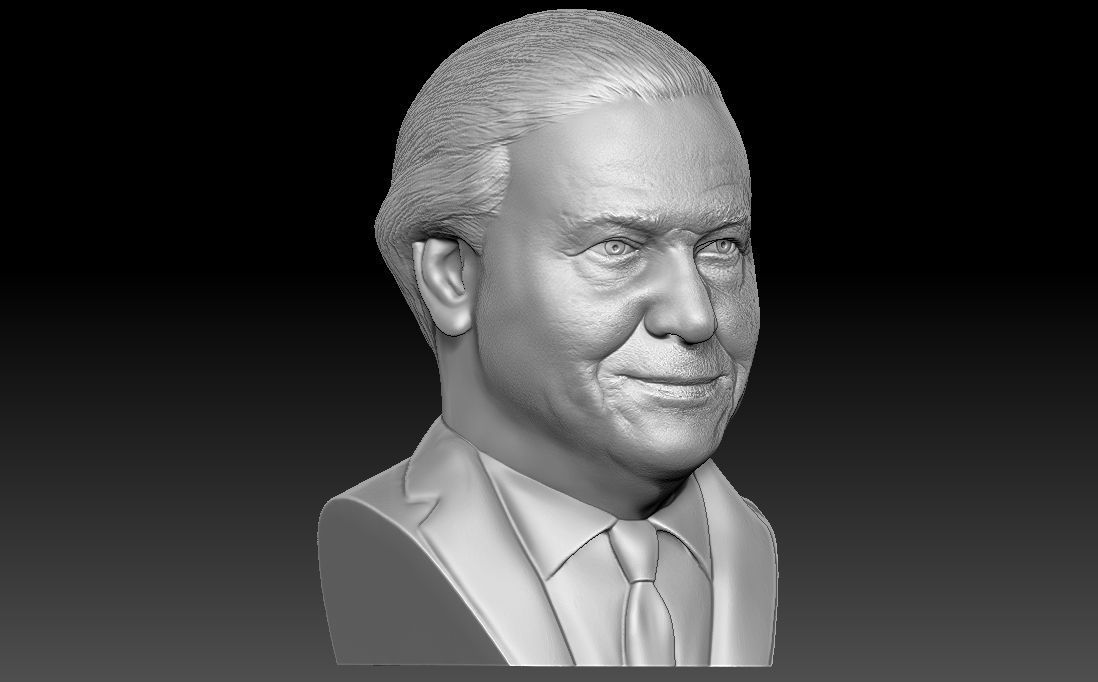 Sir David Attenborough bust for 3D printing 3D print model_16