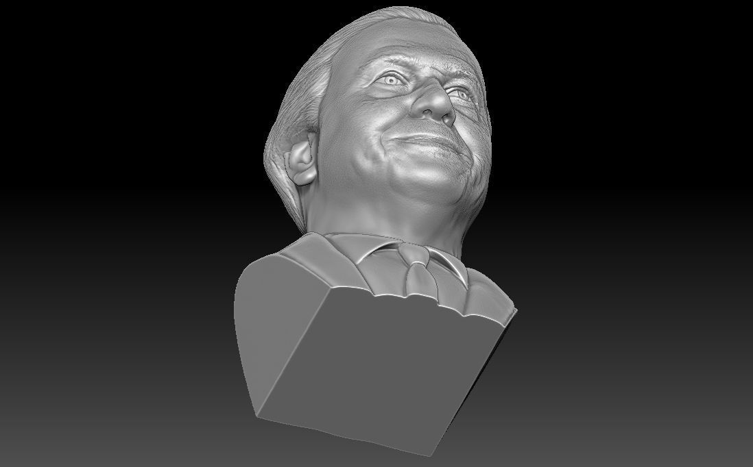 Sir David Attenborough bust for 3D printing 3D print model_28