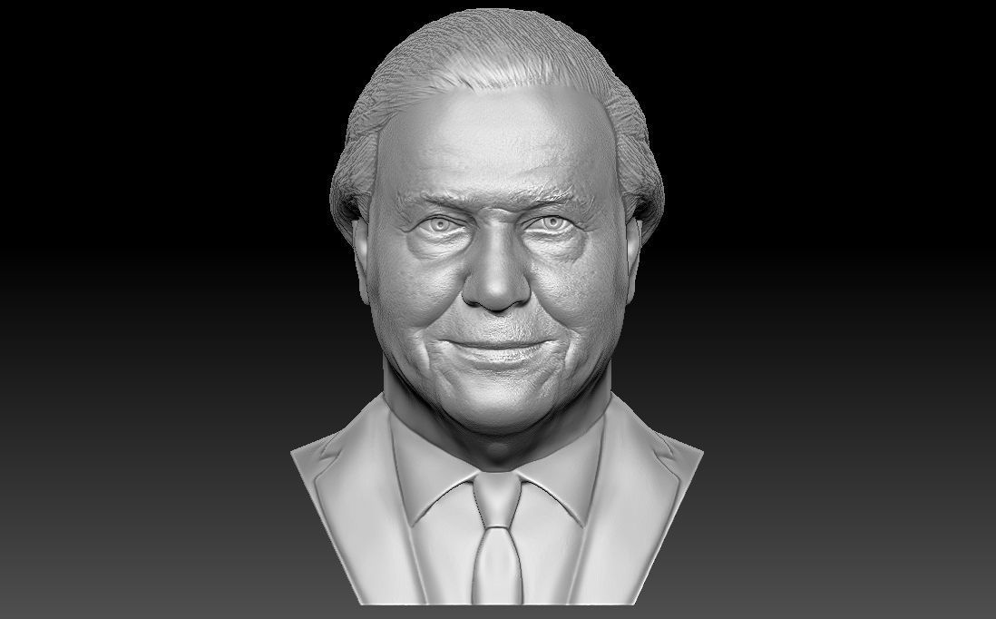Sir David Attenborough bust for 3D printing 3D print model_5
