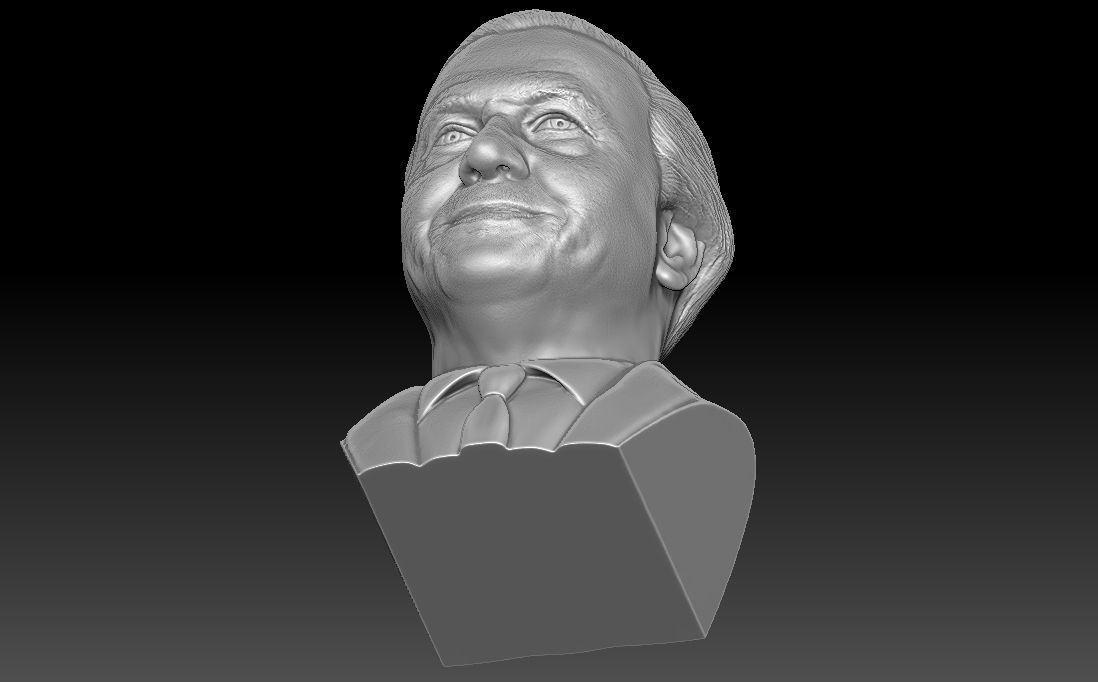Sir David Attenborough bust for 3D printing 3D print model_29