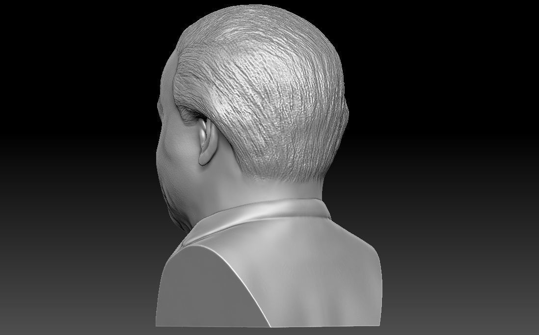 Sir David Attenborough bust for 3D printing 3D print model_11