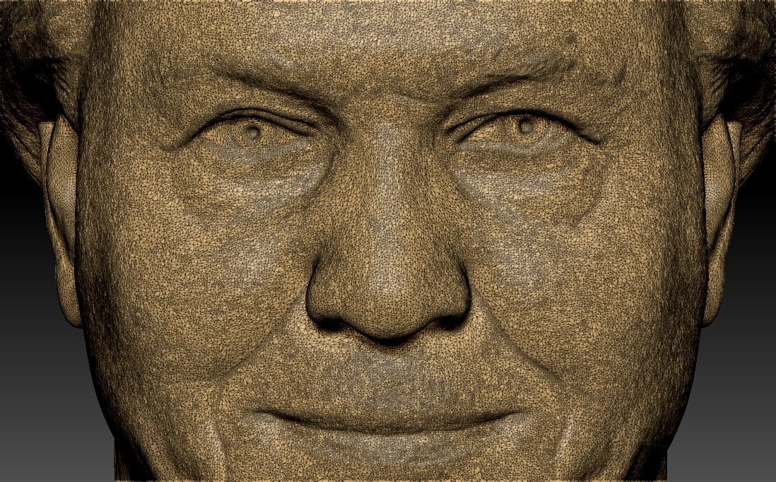 Sir David Attenborough bust for 3D printing 3D print model_33