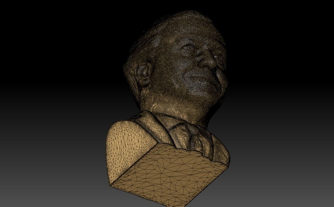 Sir David Attenborough bust for 3D printing 3D print model_35