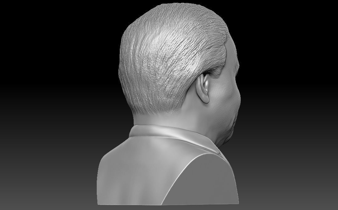 Sir David Attenborough bust for 3D printing 3D print model_13