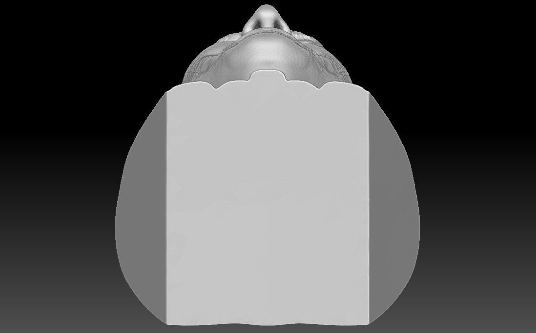 Sir David Attenborough bust for 3D printing 3D print model_30