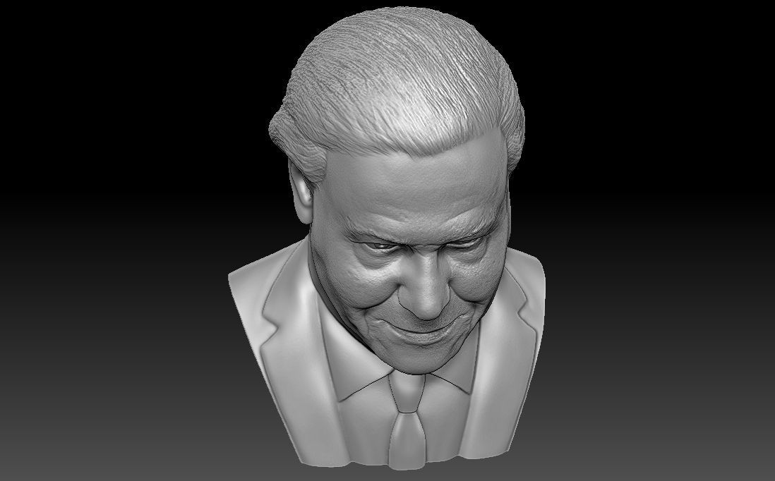 Sir David Attenborough bust for 3D printing 3D print model_19