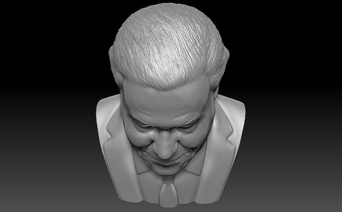Sir David Attenborough bust for 3D printing 3D print model_21
