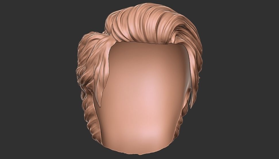hair 24 3D print model_13
