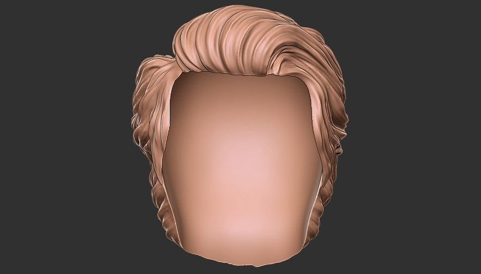 hair 24 3D print model_1