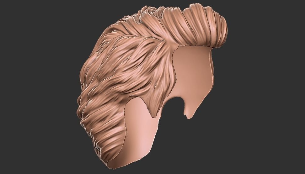 hair 24 3D print model_11