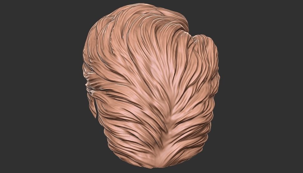 hair 24 3D print model_7