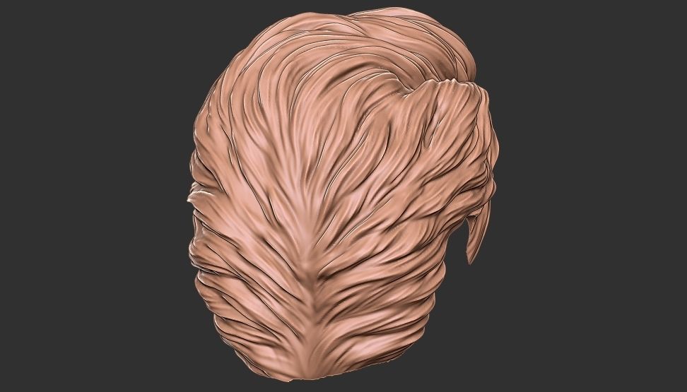 hair 24 3D print model_8