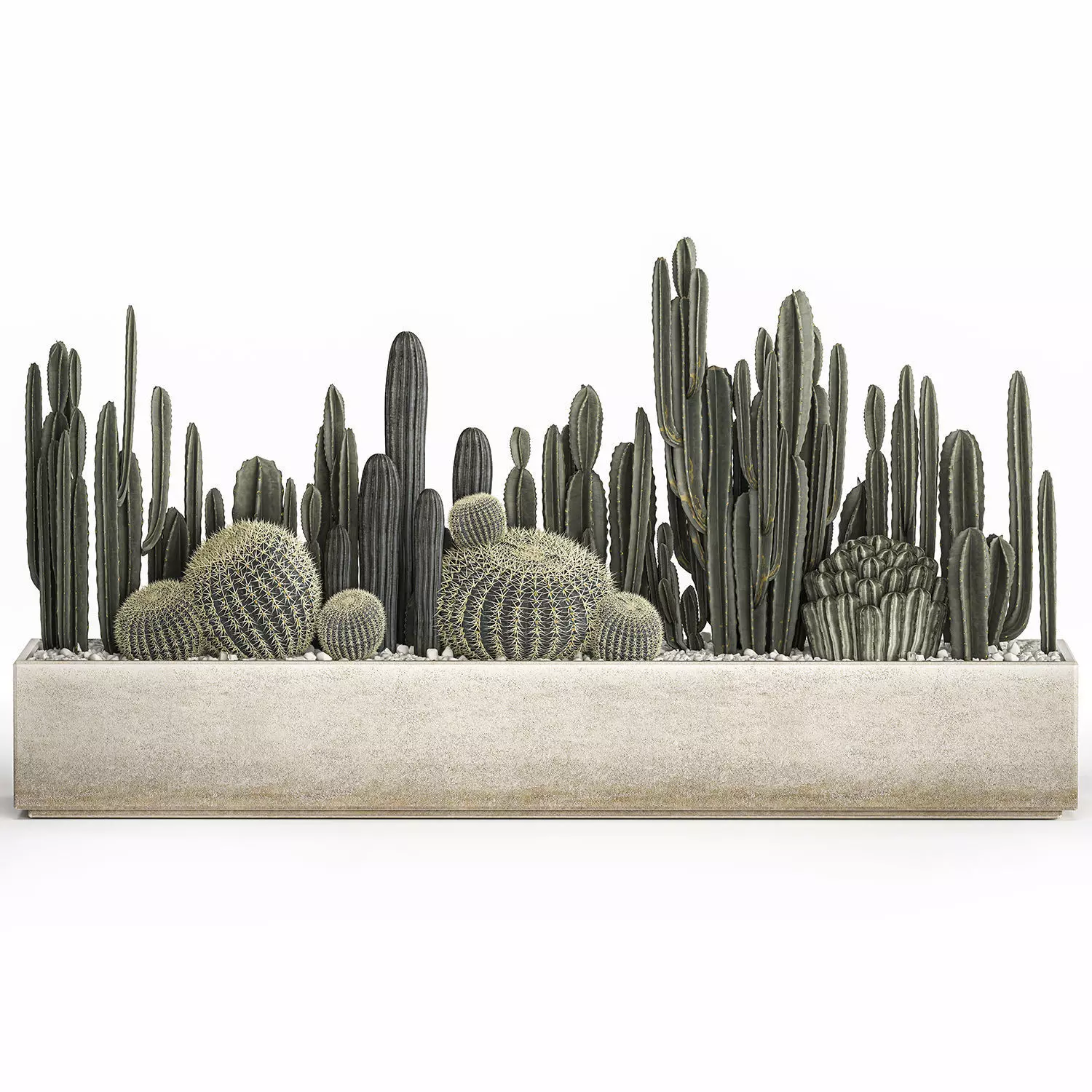 Cactus set in a concrete flowerpot for the interior 1102 3D model_0