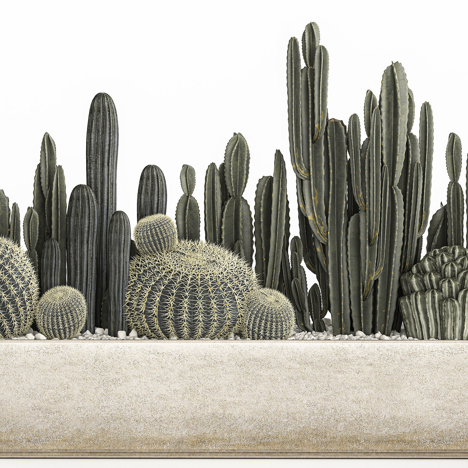Cactus set in a concrete flowerpot for the interior 1102 3D model_3