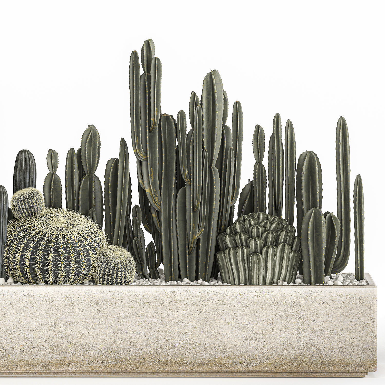 Cactus set in a concrete flowerpot for the interior 1102 3D model_4