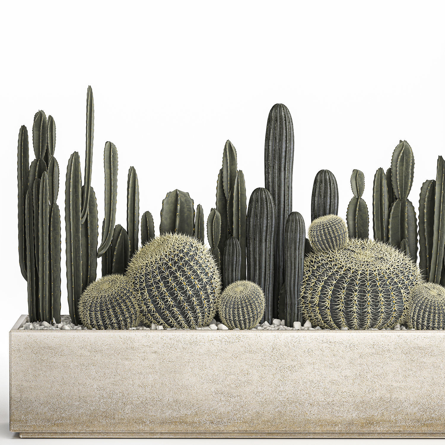 Cactus set in a concrete flowerpot for the interior 1102 3D model_2