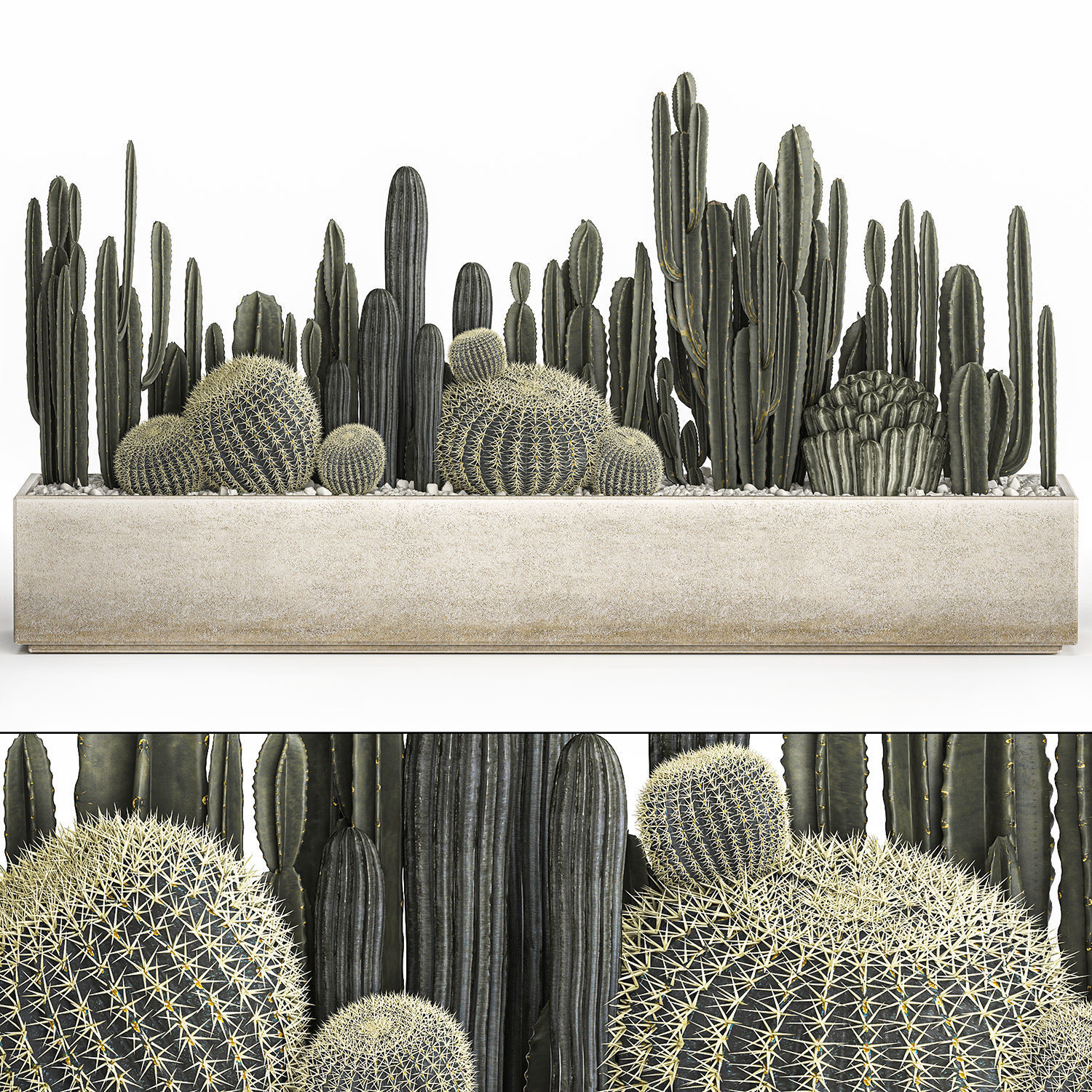 Cactus set in a concrete flowerpot for the interior 1102 3D model_1