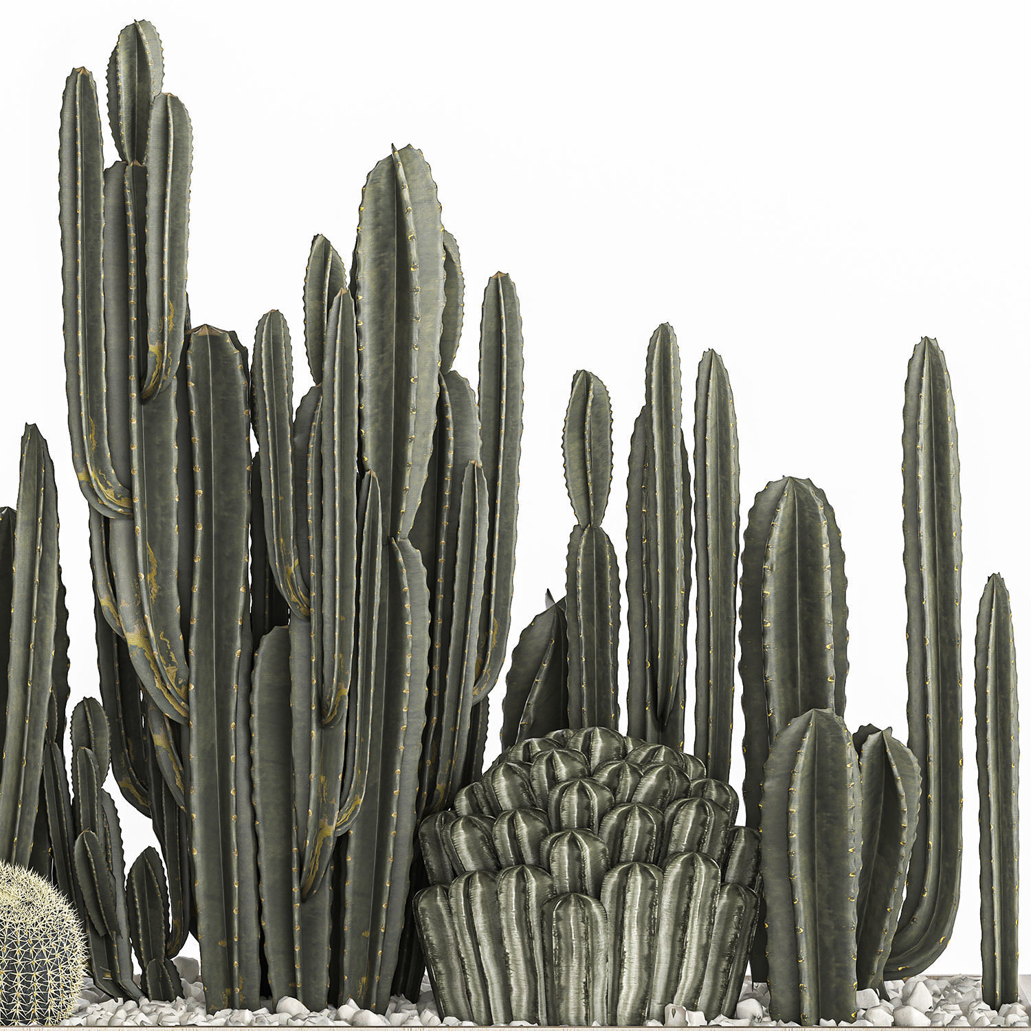 Cactus set in a concrete flowerpot for the interior 1102 3D model_6