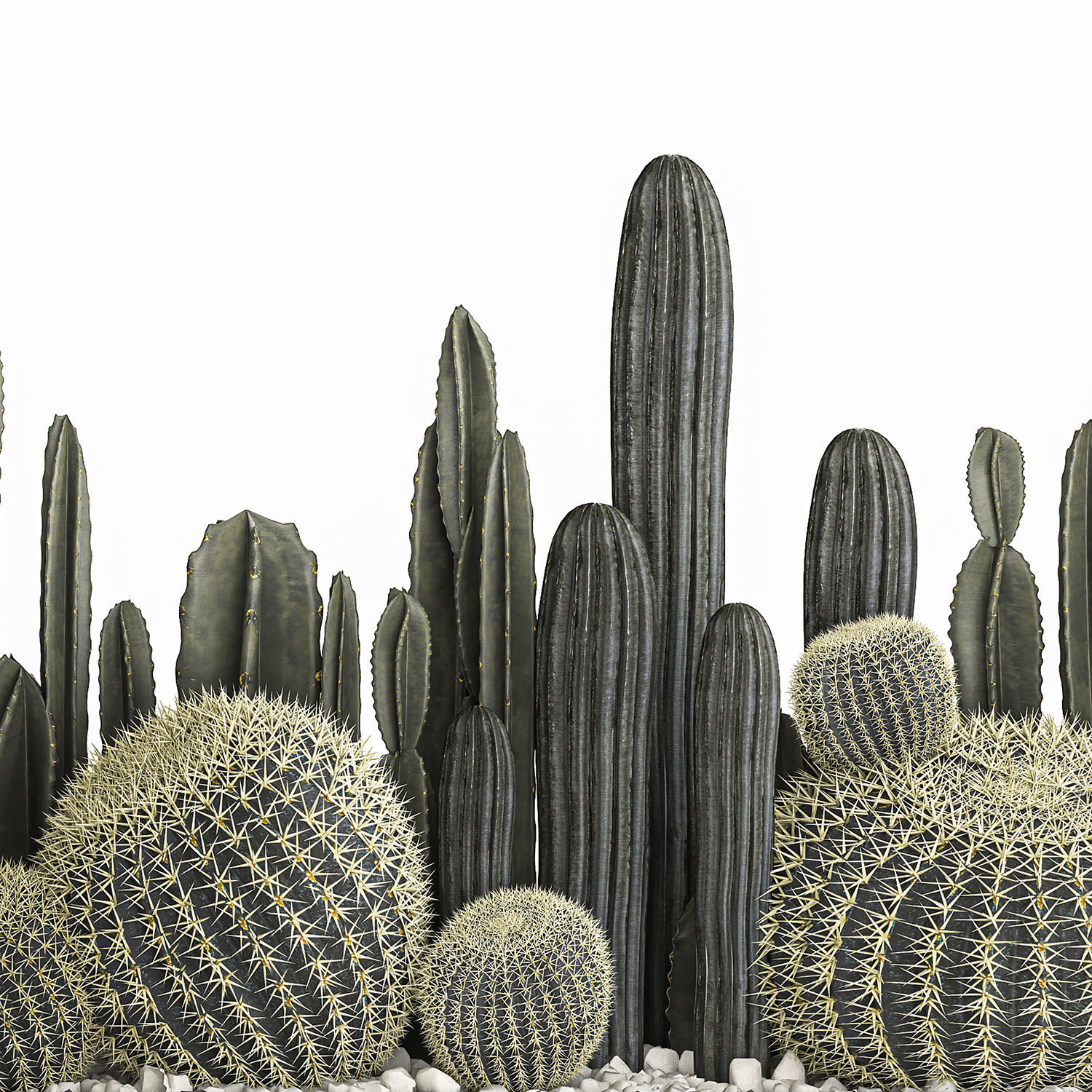 Cactus set in a concrete flowerpot for the interior 1102 3D model_5