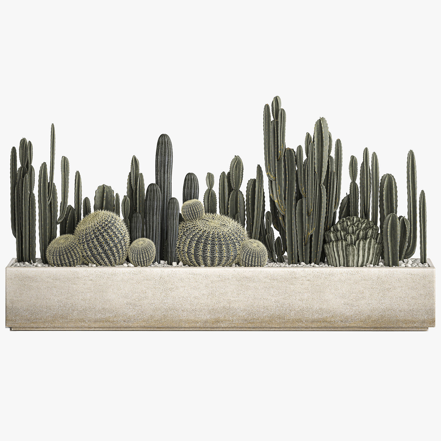 Cactus set in a concrete flowerpot for the interior 1102 3D model_7