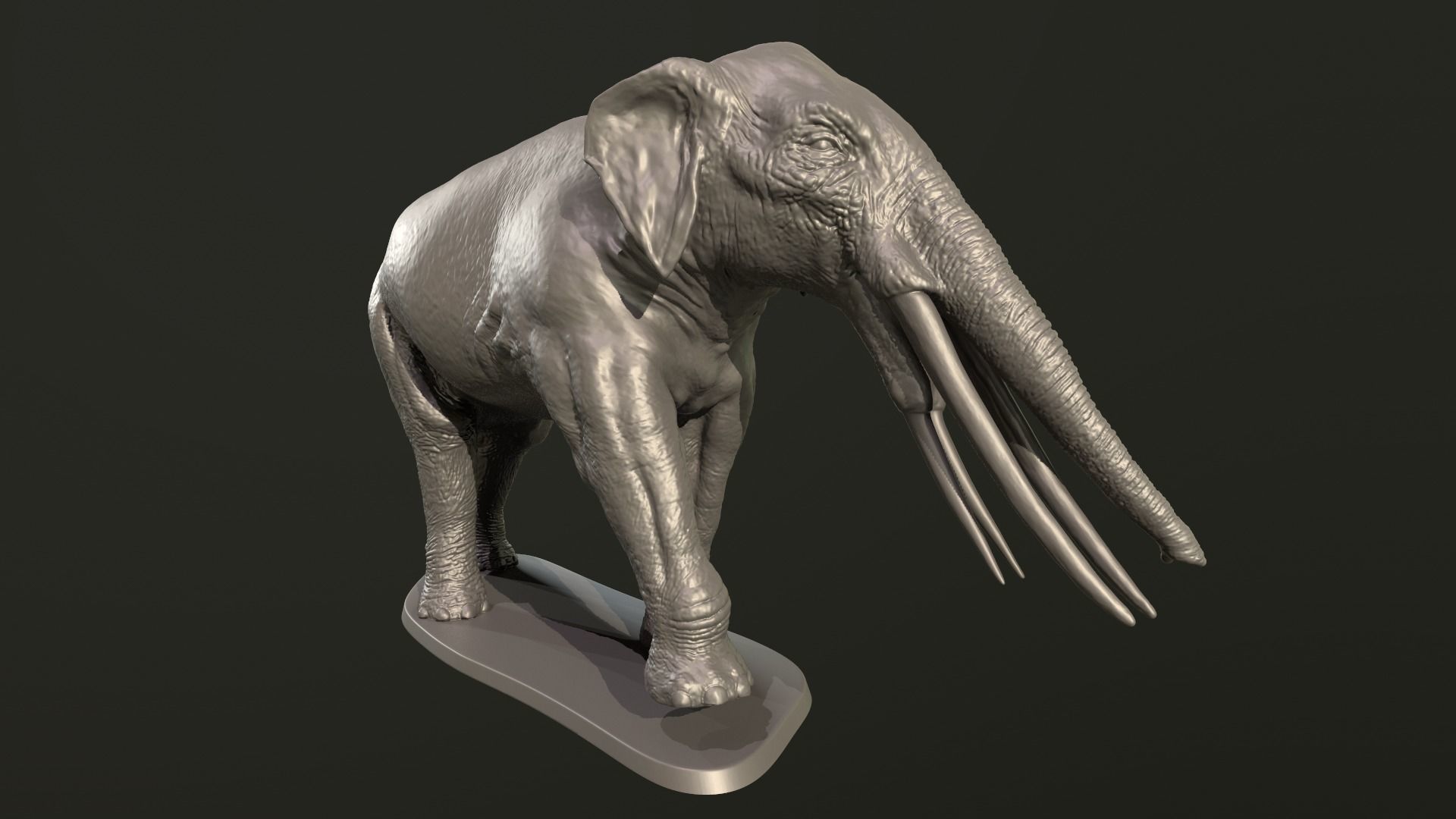 Collection of 10 extinct elephantoid proboscidean 3D print model_34