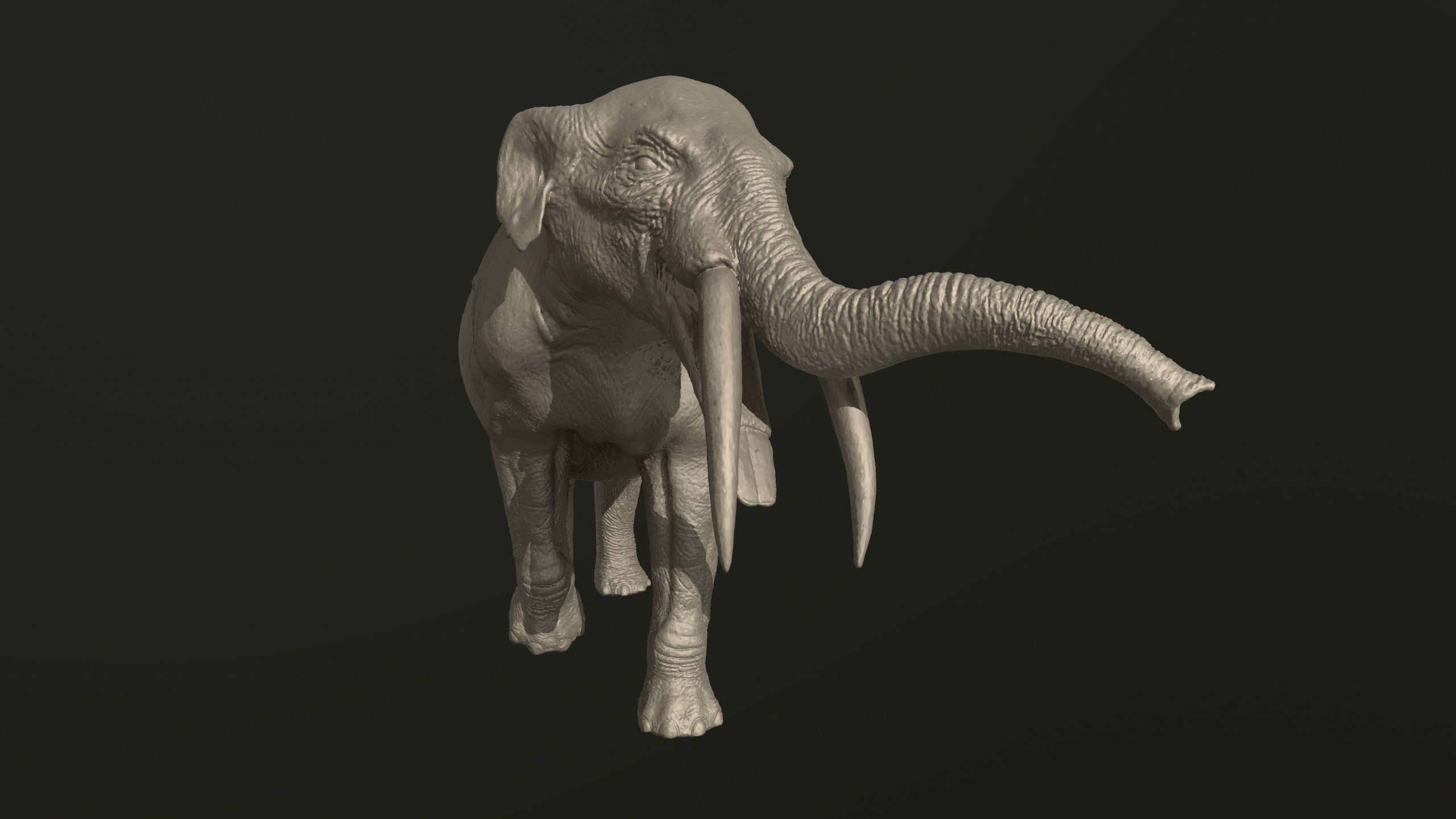 Collection of 10 extinct elephantoid proboscidean 3D print model_74