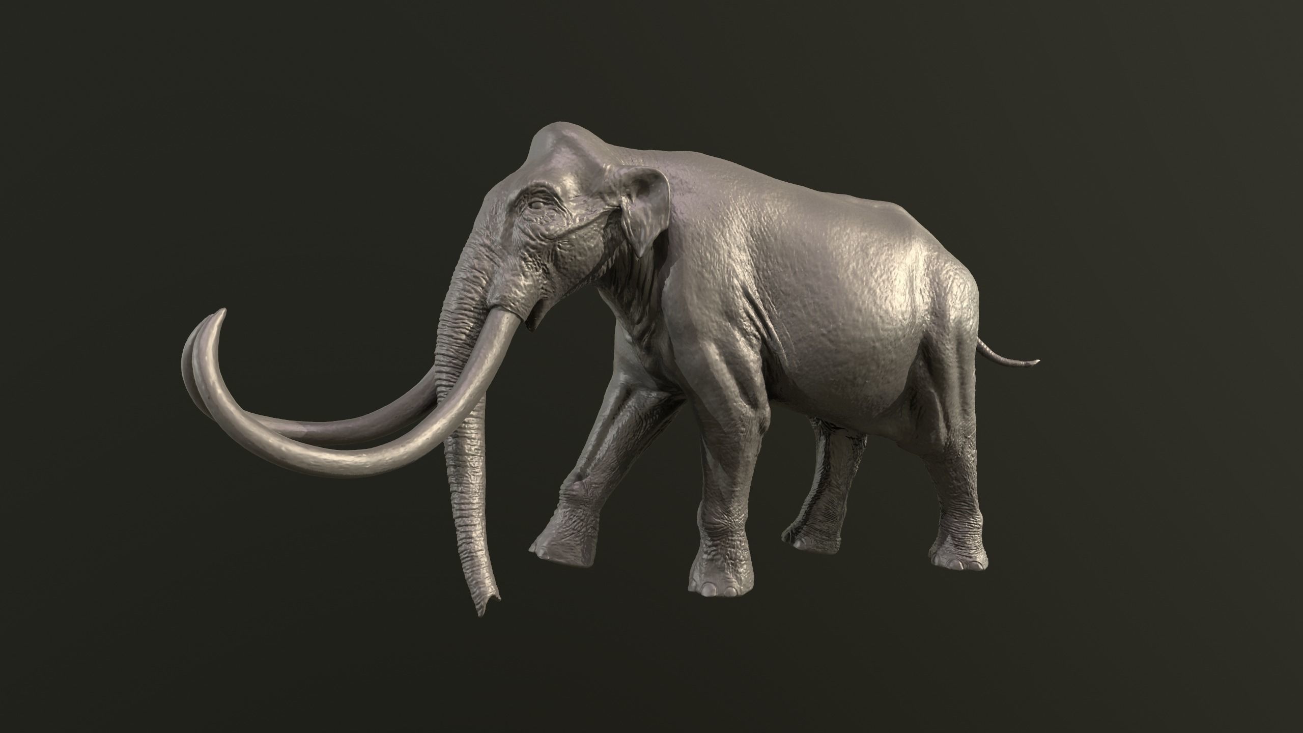 Collection of 10 extinct elephantoid proboscidean 3D print model_16